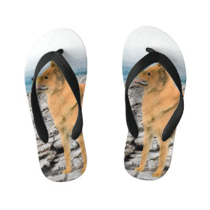 Chinelos Infantis Pintura em Seashore - Arte Canina