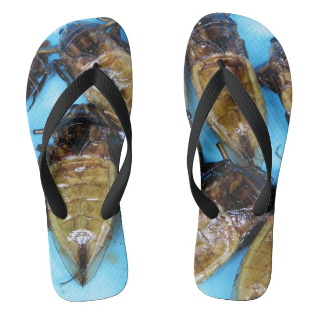 Chinelos Inseto De Água Gigante Fried (Maeng Daa) ... Comid (Pé da cama)