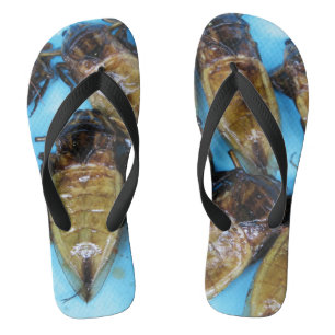 Chinelos Inseto De Água Gigante Frito (Maeng Daa) ... Comi