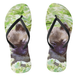 Chinelos Keeshond Puppy na Pintura Original