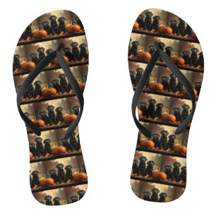 Chinelos Labrador Puppy Autumn Delight Pumpkin