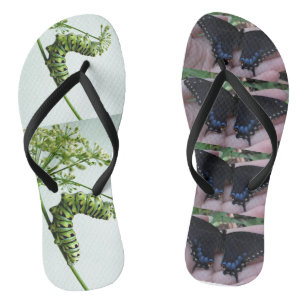 Chinelos Lagarta-do-mato-preto