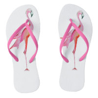 Lindo Flamingo Aquarela Pássaro Tropical