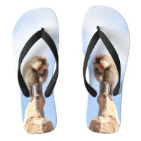 Macaco babuíno no topo de uma montanha