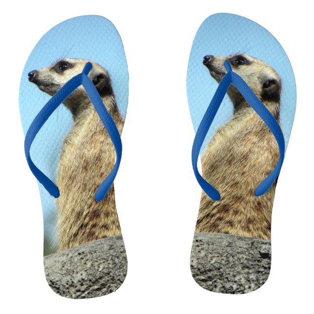 Chinelos Meerkat (Pé da cama)