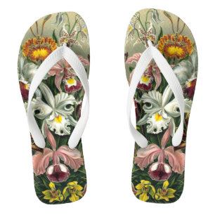 Chinelos Orquídeas Ernst Haeckel, Flores Vintage da Florest