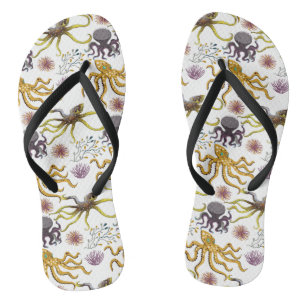 Chinelos Padrão de animais aquáticos vida submarina do oc