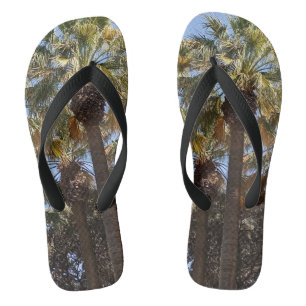 Chinelos Palm Trees