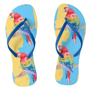 Chinelos Papagaio Papagaios Tropical Arara Ave Azul Homens