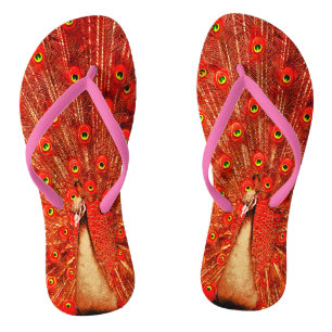 Chinelos Pavão Vermelho Exibindo Suas Penas Vermelhas,