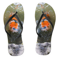 Peixe Koi numa lagoa