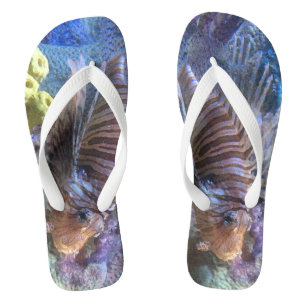Chinelos Peixe-leão