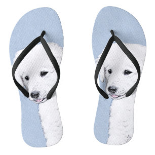 Chinelos Pintura de Kuvasz - Arte de Cachorro Original Boni