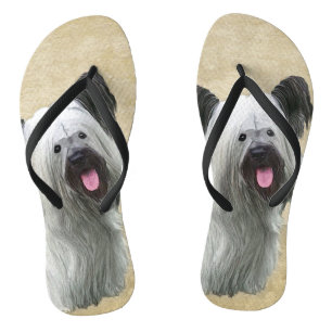 Chinelos Pintura de Skye Terrier - Arte Cão Original Bonit