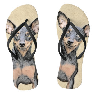 Chinelos Pintura Miniatura Pinscher Pintura Cachorra Origin