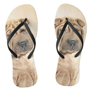 Chinelos Pintura Shar Pei - Arte Original de Cachorro Fofa