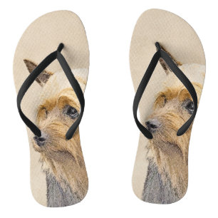 Chinelos Pintura Silky Terrier - Arte Cachorro Original Cac