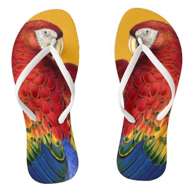 Chinelos Rainbow Macaw Parrot Lover Bold e Summery (Pé da cama)