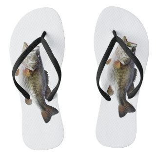 Chinelos Salmões dos peixes