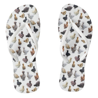 Chinelos Silkie Bantam Chickens