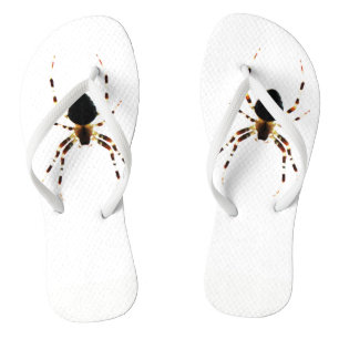 Chinelos Spider ffm