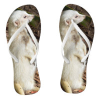Suricata branco, Thongs