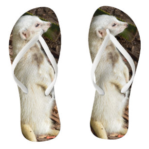 Chinelos Suricata branco, Thongs