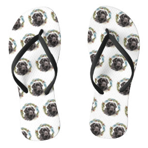 Chinelos Terra Natal Terra Nova Festa Festiva Pup