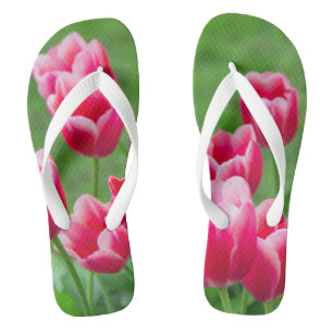 Chinelos Tulipas escarlates fofas no jardim