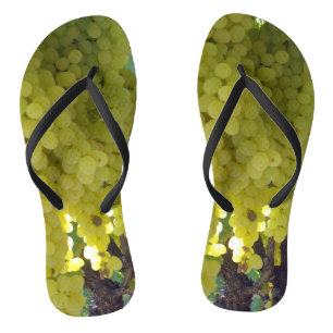 Chinelos Uvas Sultana Numa Vinha De Uva,
