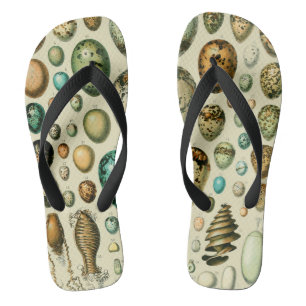 Chinelos Vintage Bird Ovos de Peixes Franceses