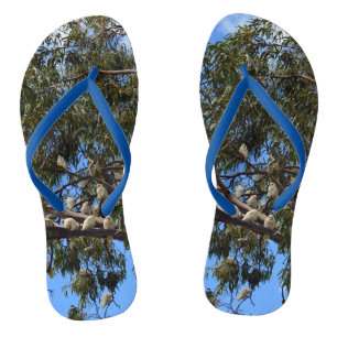 Chinelos "Voo da Natureza: Cockatoos australianos brancos