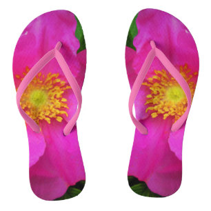 Chinelos Wild Alberta Rosa Canada Bright Pink Flower