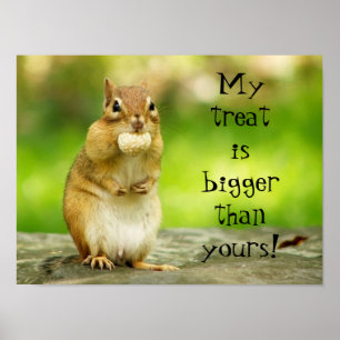 Chipmunk com Poster de tratamento