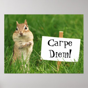 Chipmunk de Carpe Diem com poster do sinal