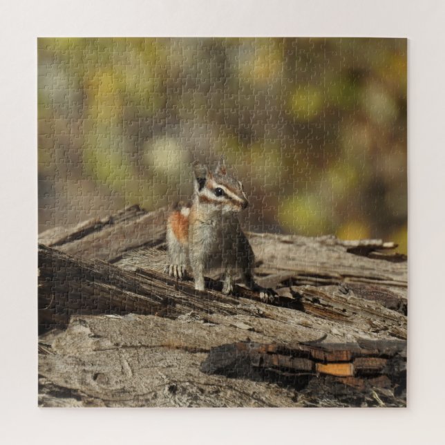 Chipmunk, Wildlife, quebra-cabeça (Vertical)