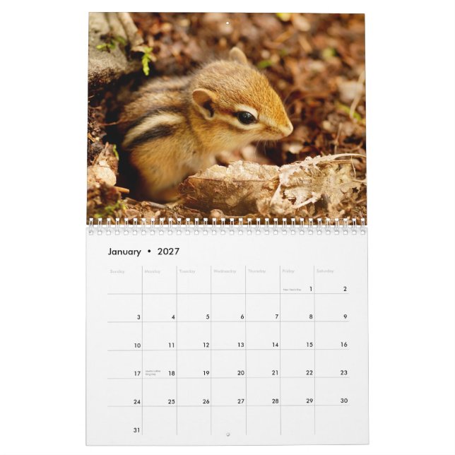 Chipmunks! Um calendário de parede 2013 bonito (Jan 2027)
