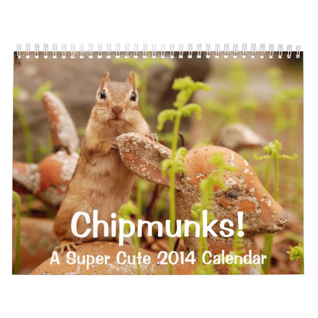 Chipmunks! Um calendário de parede 2014 bonito (Capa)