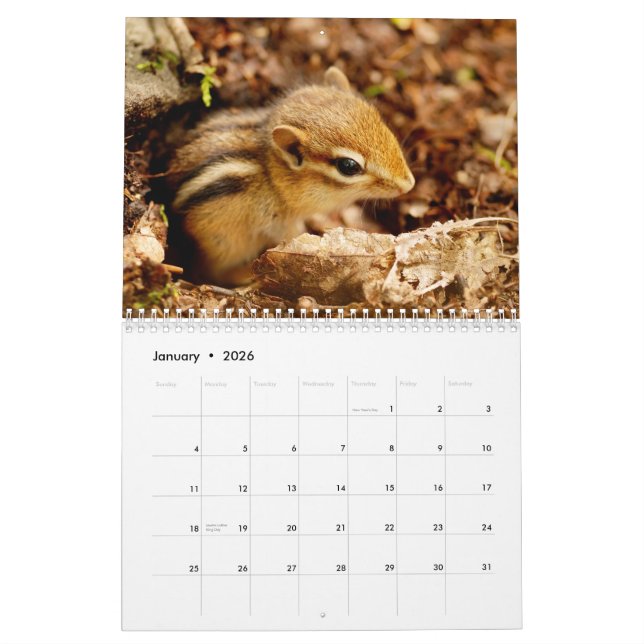 Chipmunks! Um calendário de parede 2015 bonito (Jan 2026)