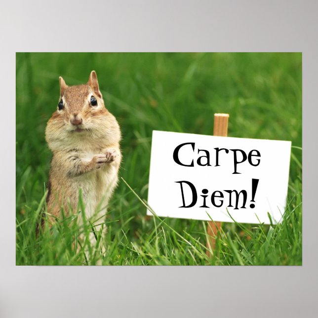 Chipset Carpe Diem com Poster de Sinal (Frente)