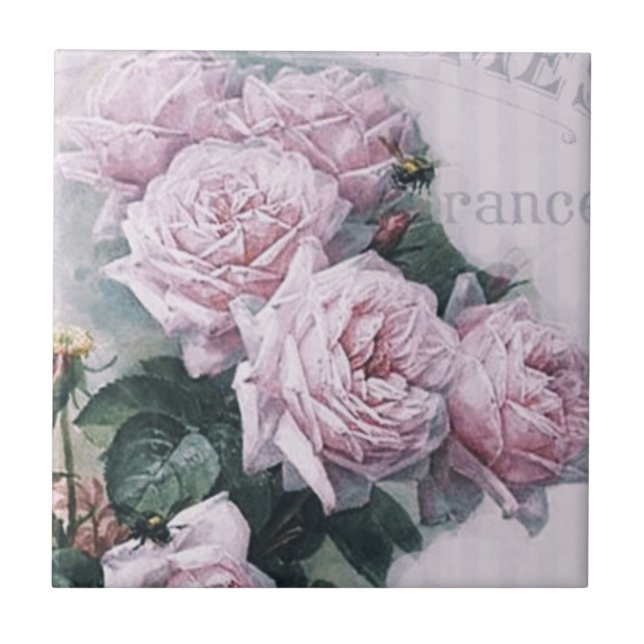 chique, dissociação, vitoriano, chic francês, pa (Frente)