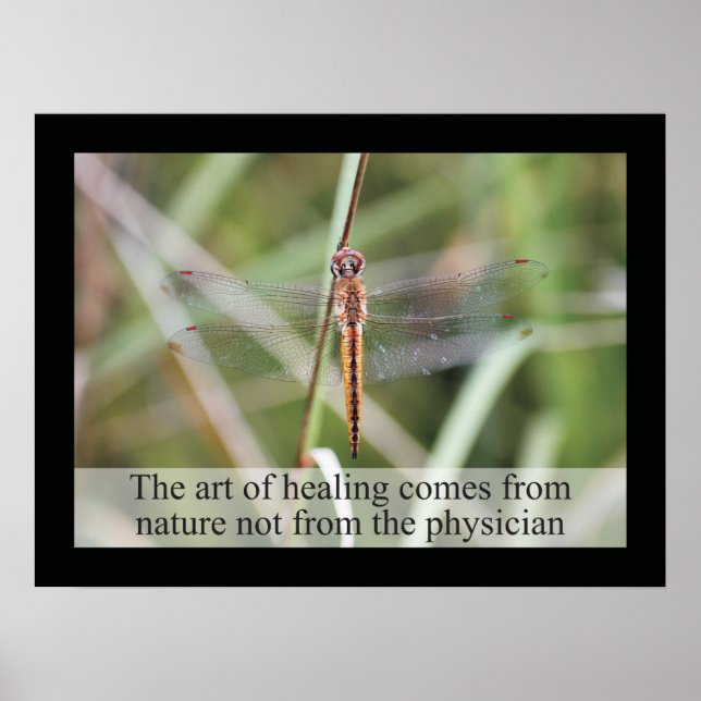 Chiropractic Cotes and Sayings Health Poster (Frente)