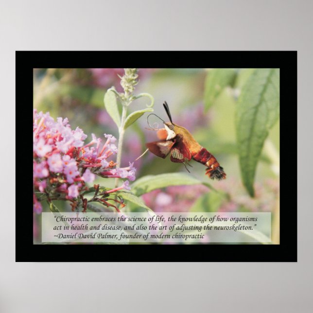 Chiropractic Cotes and Sayings Health Poster (Frente)