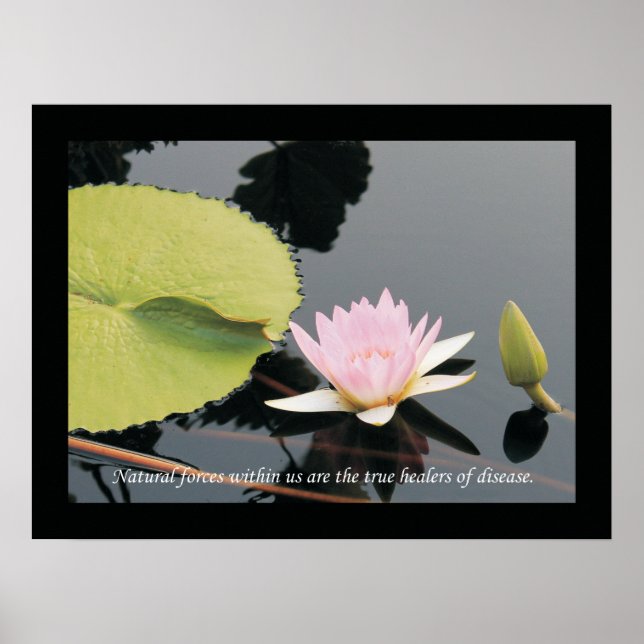 Chiropractic Cotes and Sayings Health Poster (Frente)