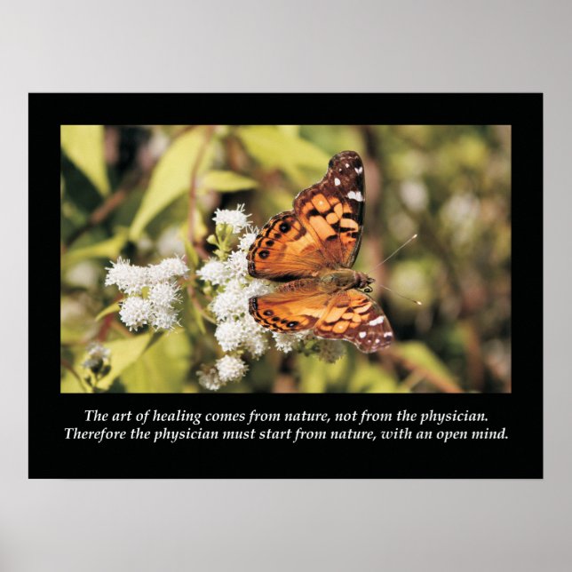 Chiropractic Cotes and Sayings Health Poster (Frente)