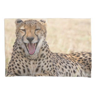 Chita