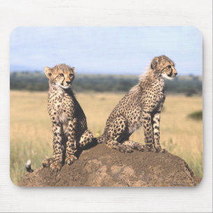 Chita Cubs Mousepad