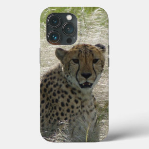 Chita iPhone / iPad case
