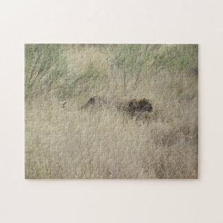 Chita quebra-cabeça de Botswana, África