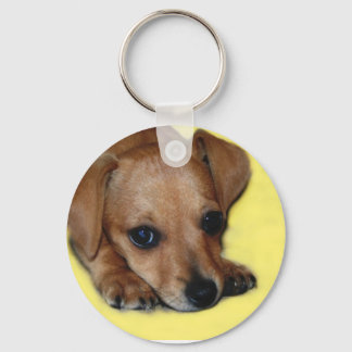 Chiweenie Puppy Chaveiro